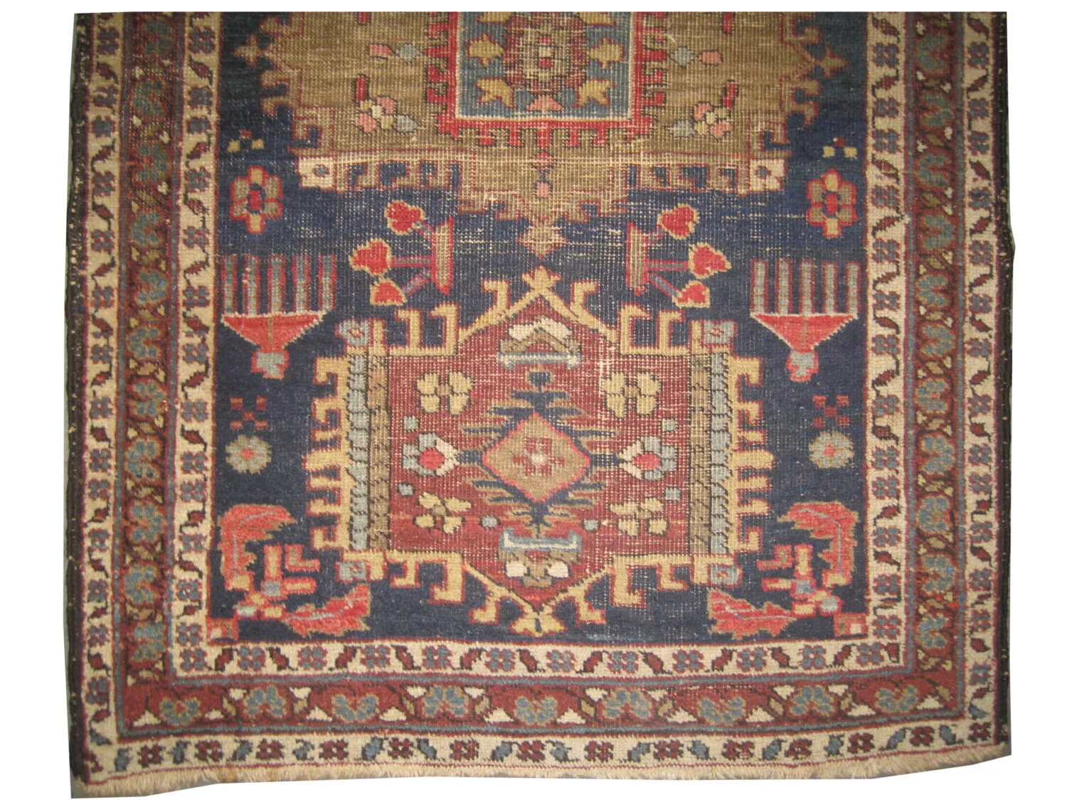 Meshgin Persian - Image 2