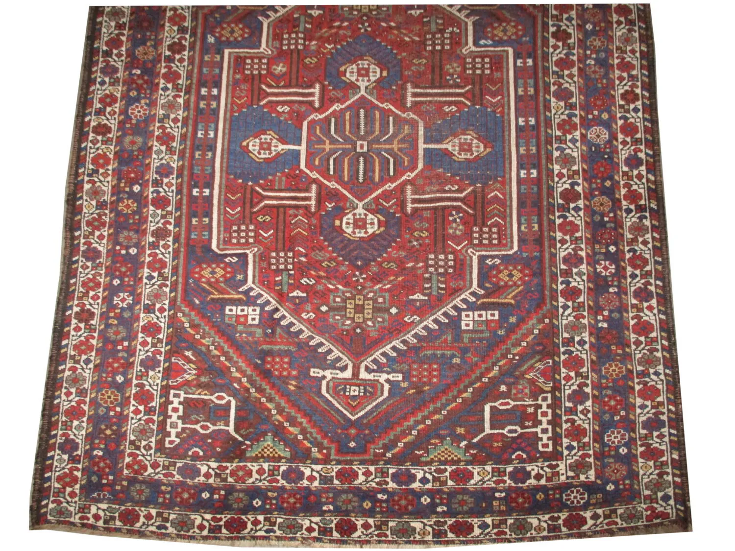 Shiraz Persian - Image 3