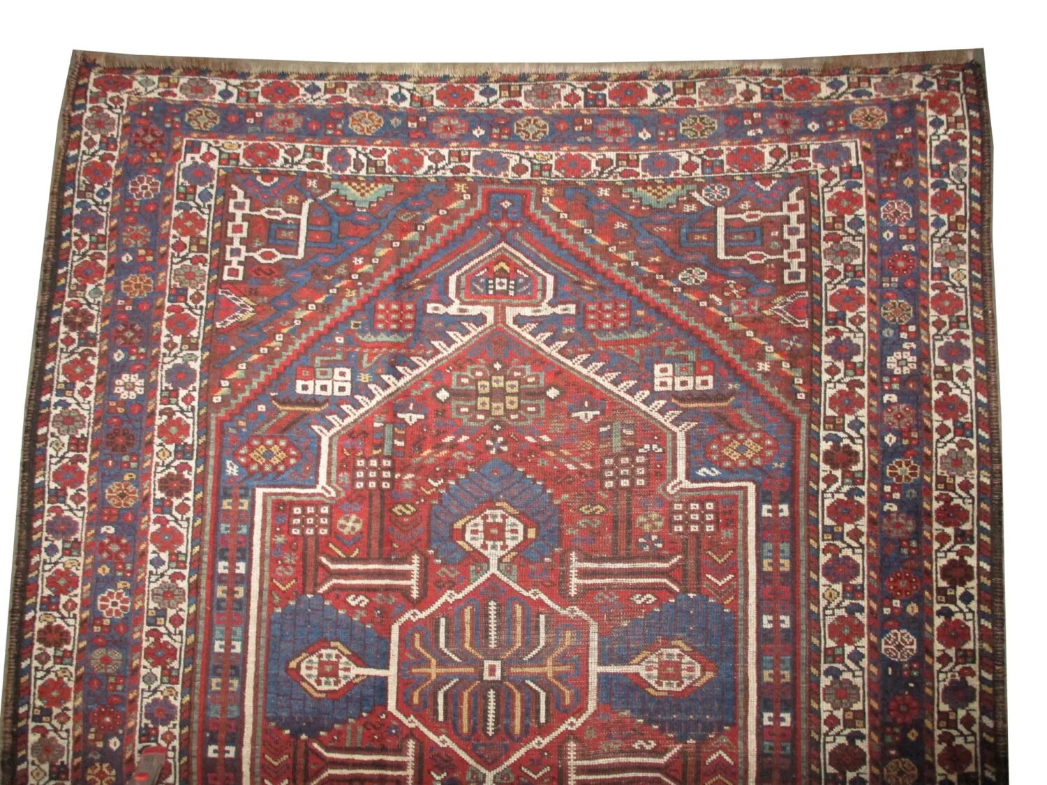 Shiraz Persian - Image 2