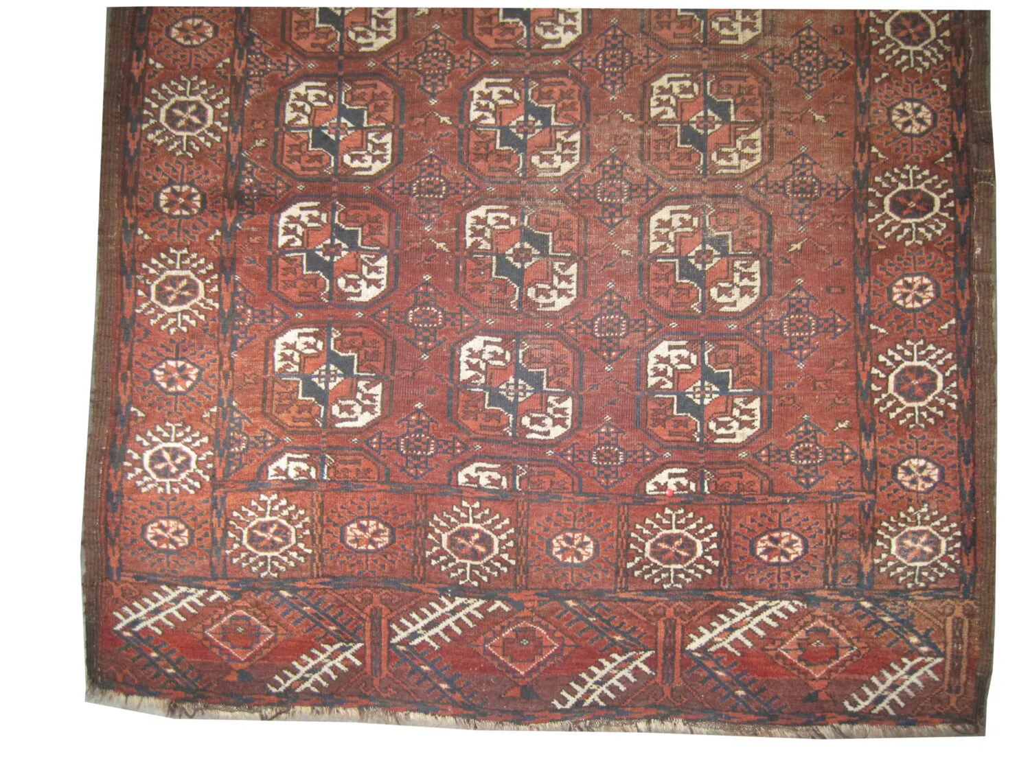 Belutsch Persian - Image 2