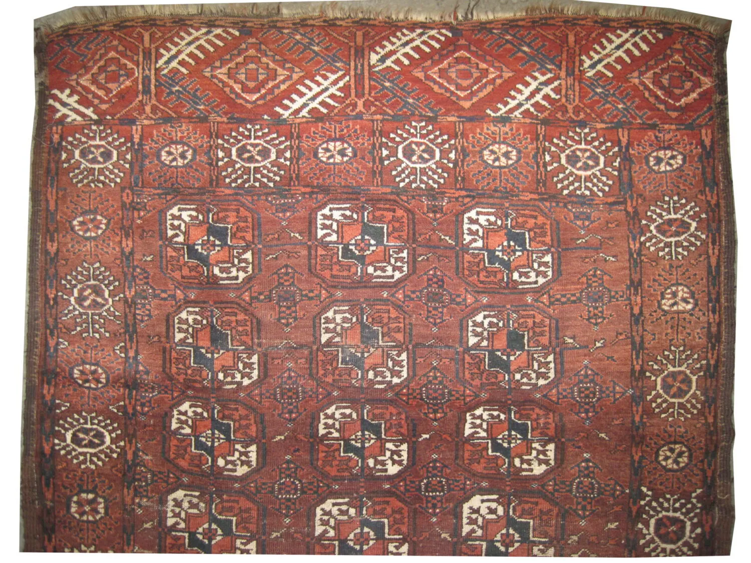 Belutsch Persian - Image 3