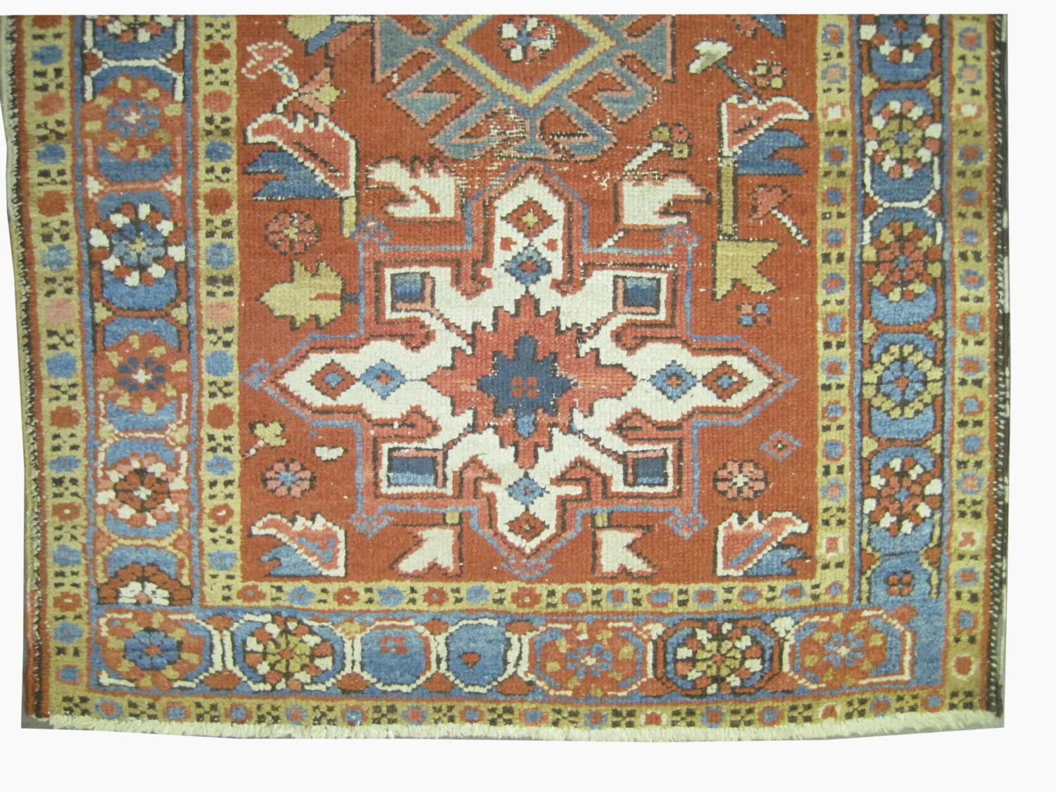 Karadja Persian - Image 3
