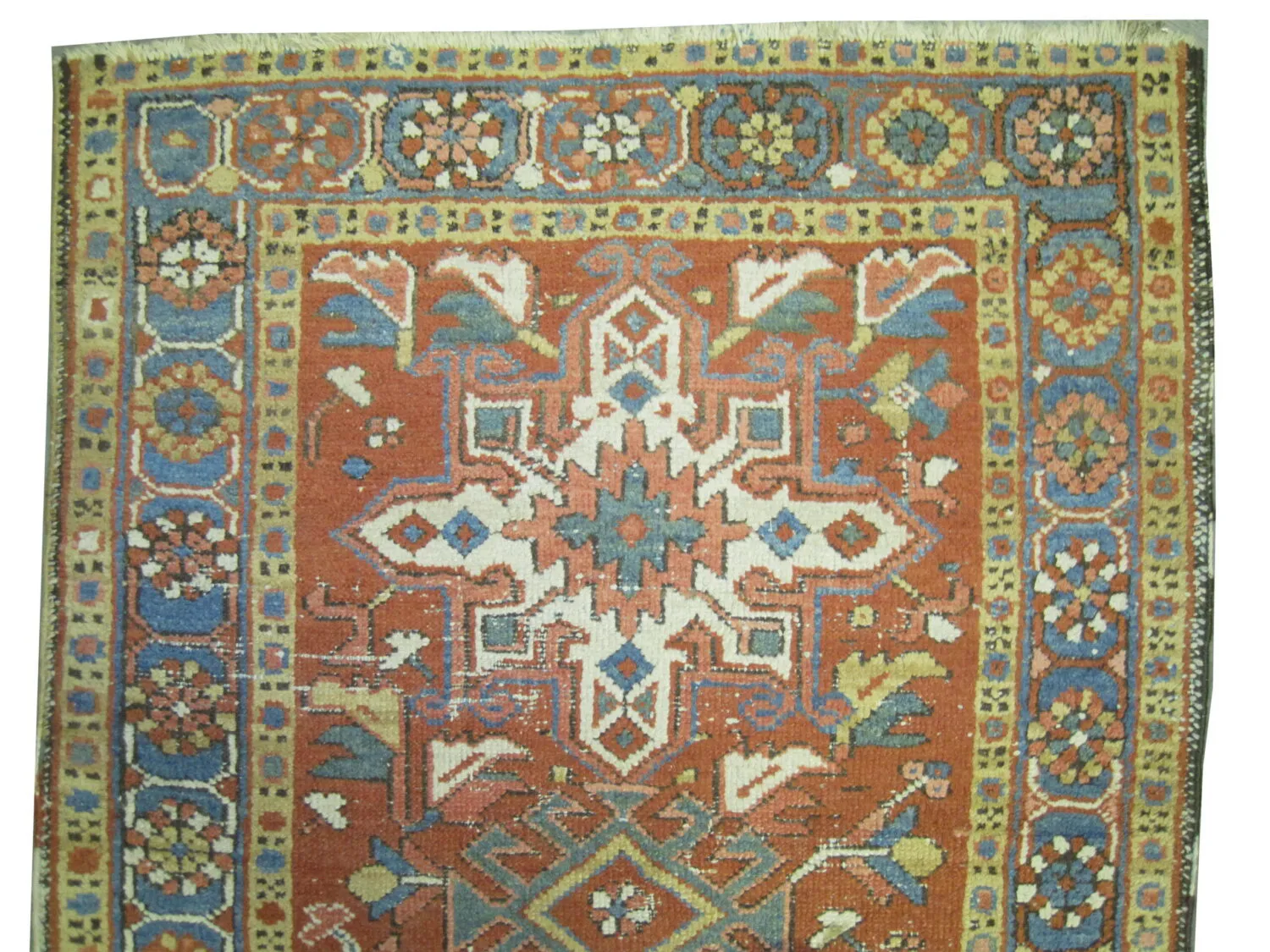 Karadja Persian - Image 2