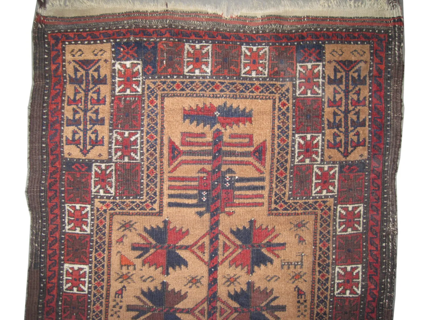 Belutsch Persian - Image 3