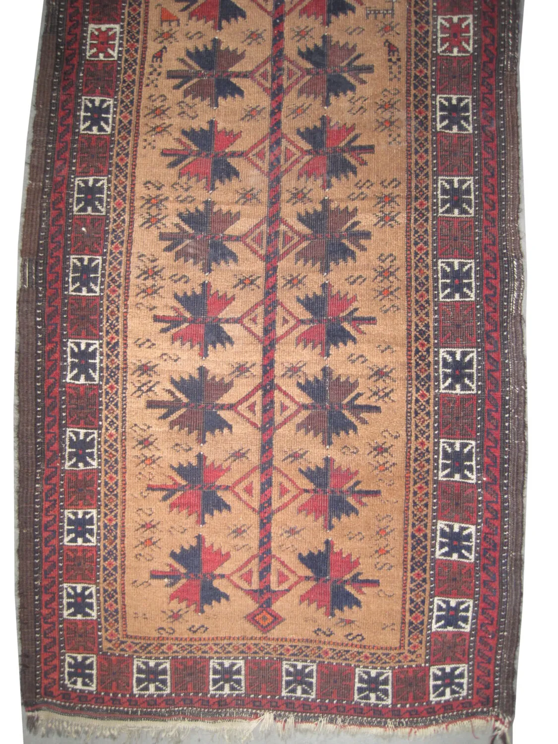 Belutsch Persian - Image 2