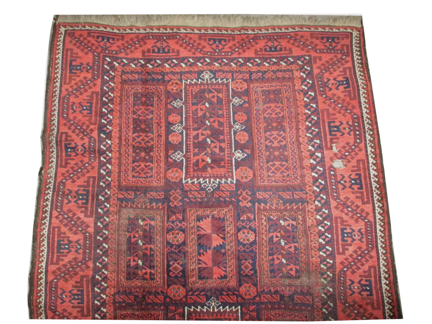 Belutsch Persian - Image 3