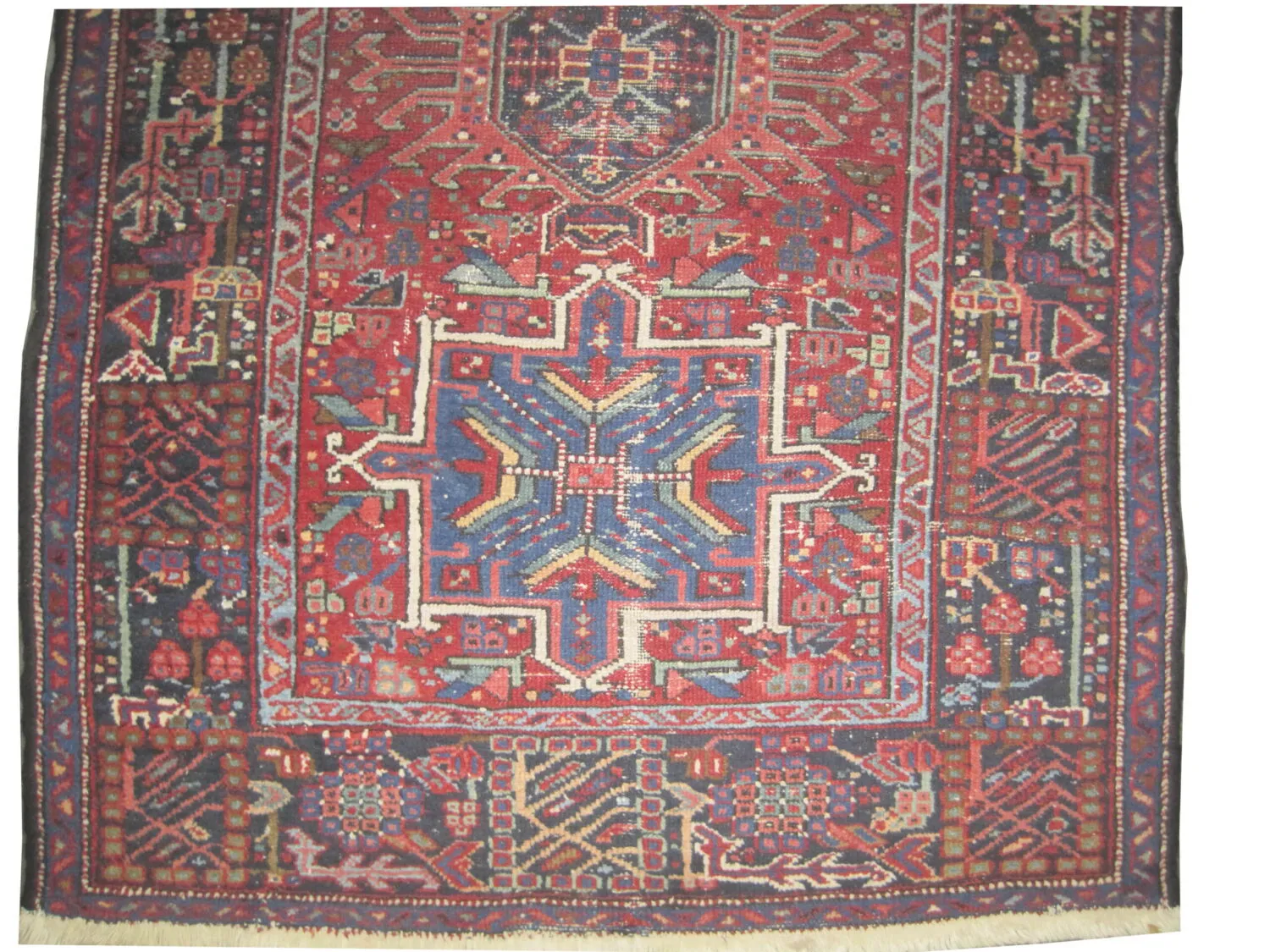 Karadja Persian - Image 2
