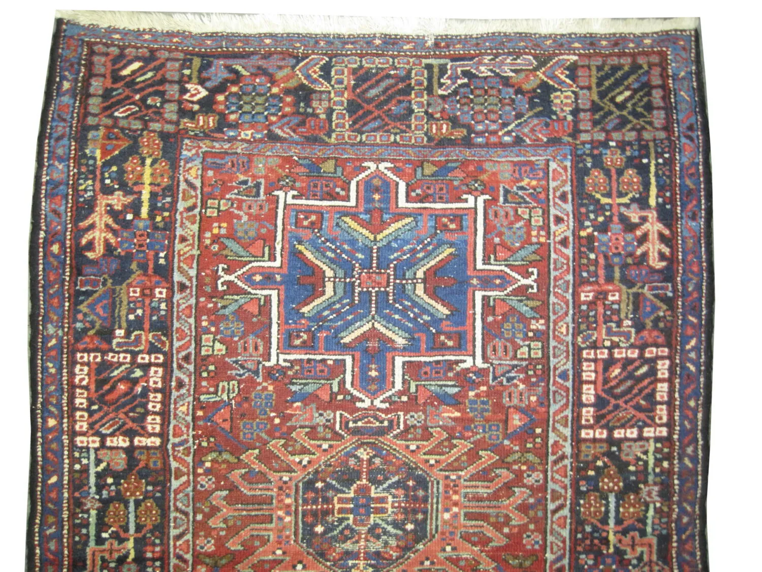 Karadja Persian - Image 3