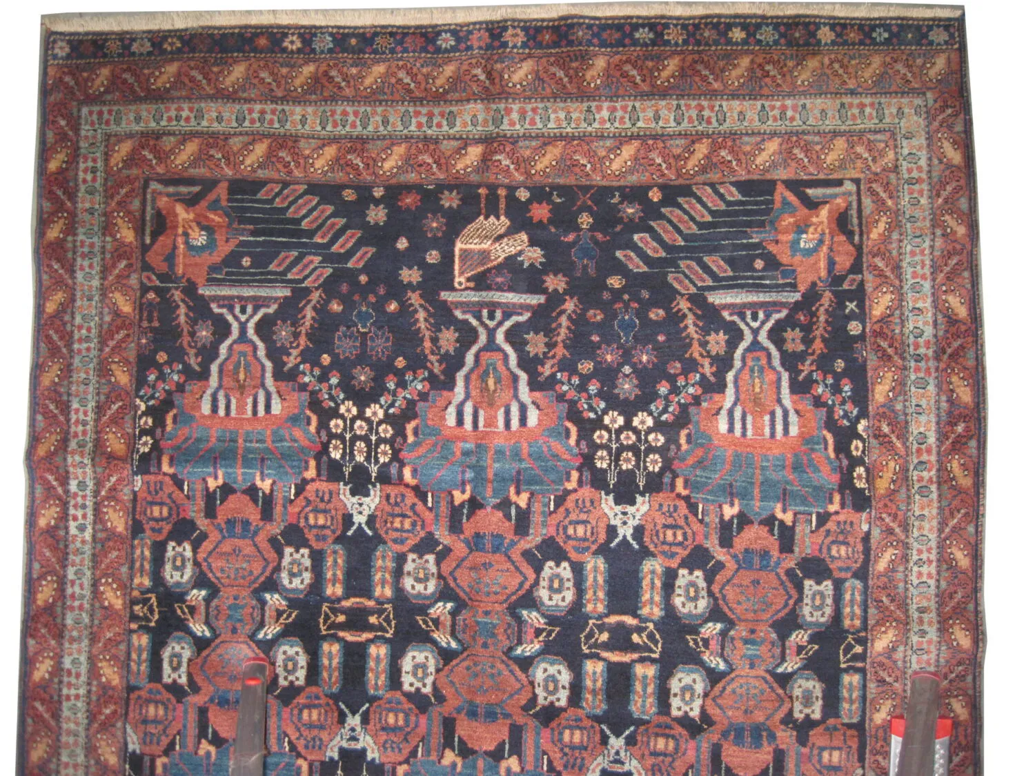 Afshar Persian - Image 3