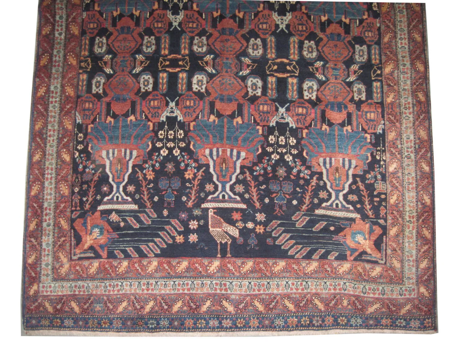 Afshar Persian - Image 2