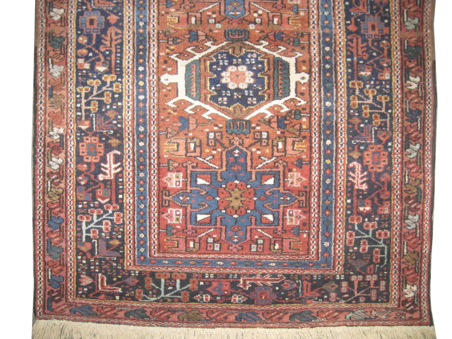 Karadja Persian - Image 3