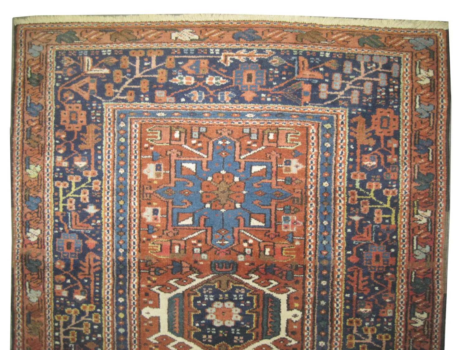 Karadja Persian - Image 2