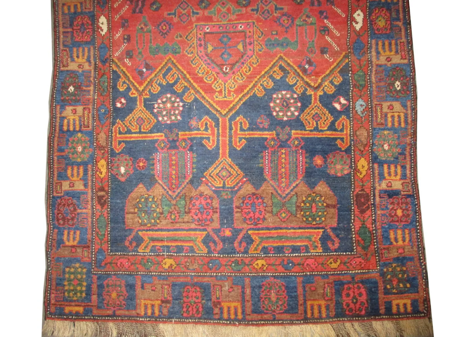 Kolyahi Persian - Image 3