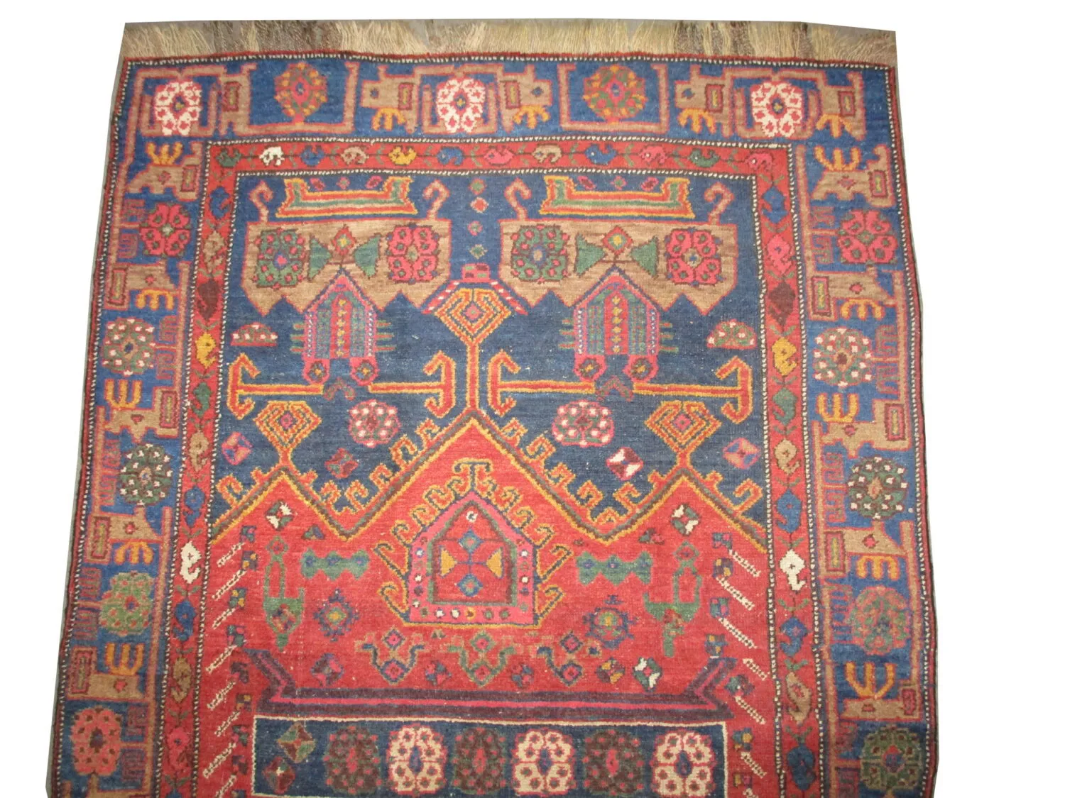 Kolyahi Persian - Image 2