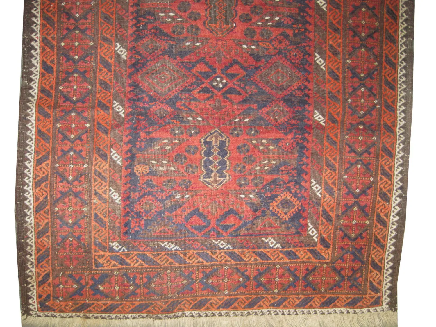 Belutsch Persian - Image 3