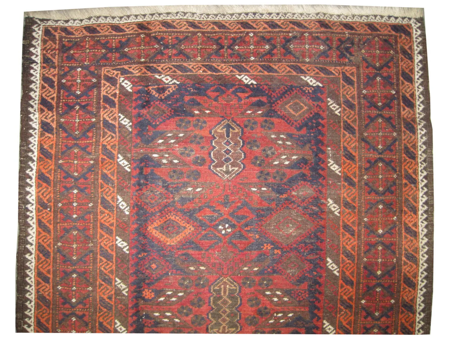 Belutsch Persian - Image 2