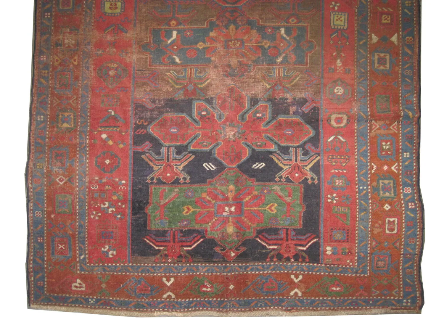 Kouba Caucasian - Image 2