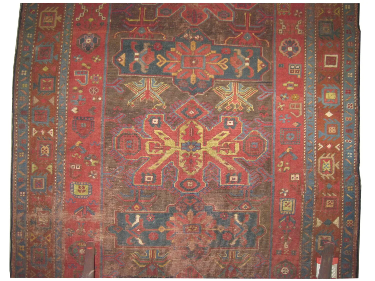 Kouba Caucasian - Image 4