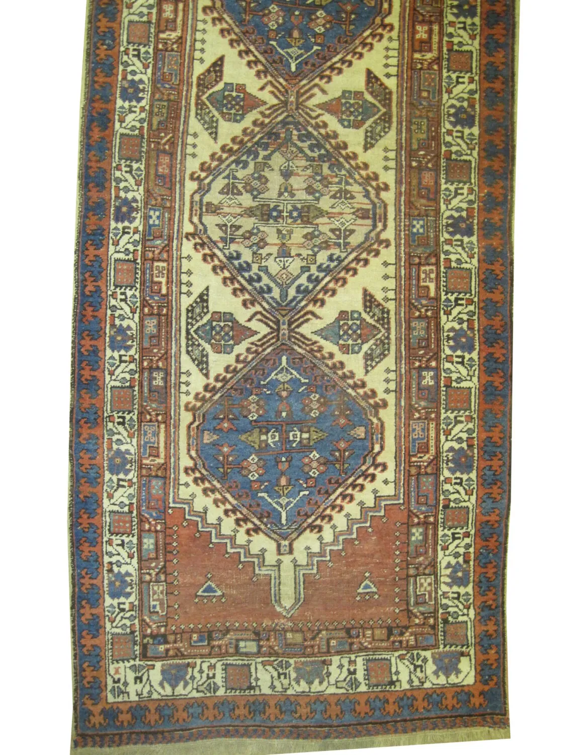 Sarab Persian - Image 2