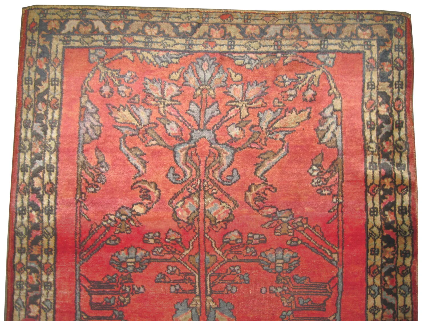 Lilihan Persian - Image 2