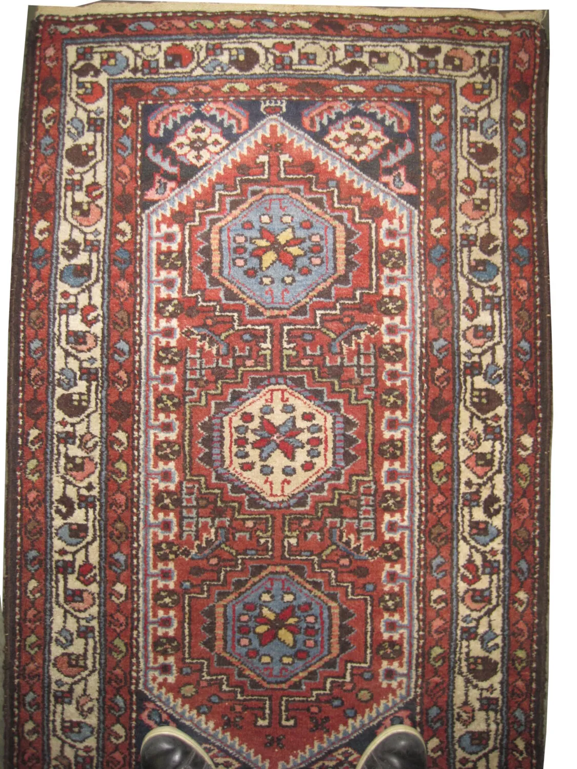 Noubaran Persian - Image 2