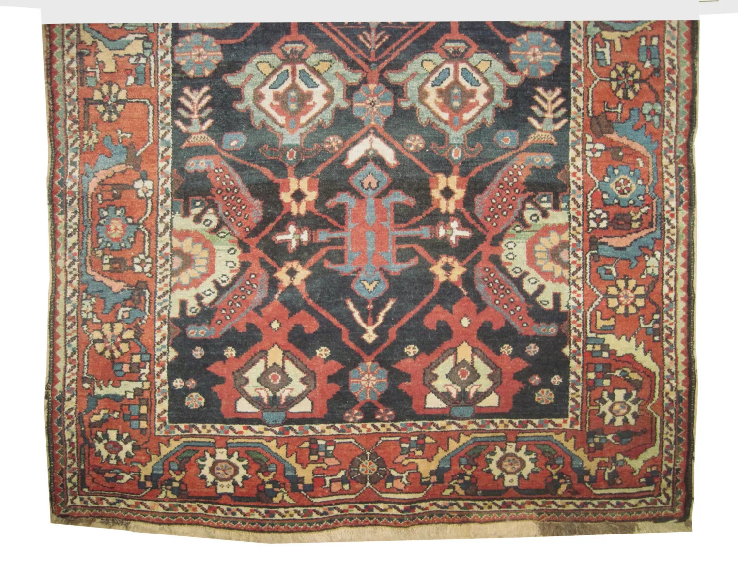Bakhtiar Louri Persian - Image 3
