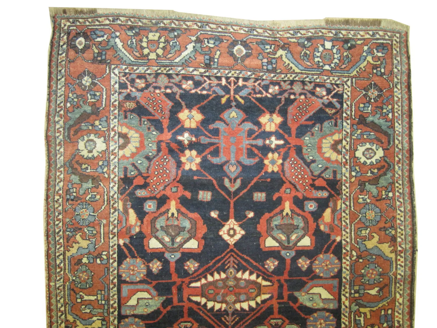 Bakhtiar Louri Persian - Image 2