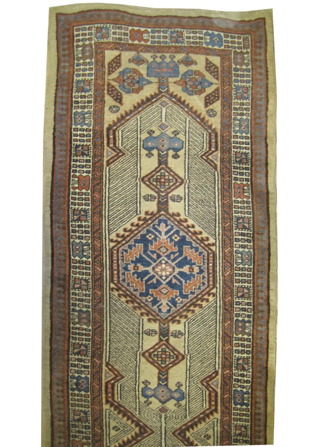 Sarab Persian - Image 2