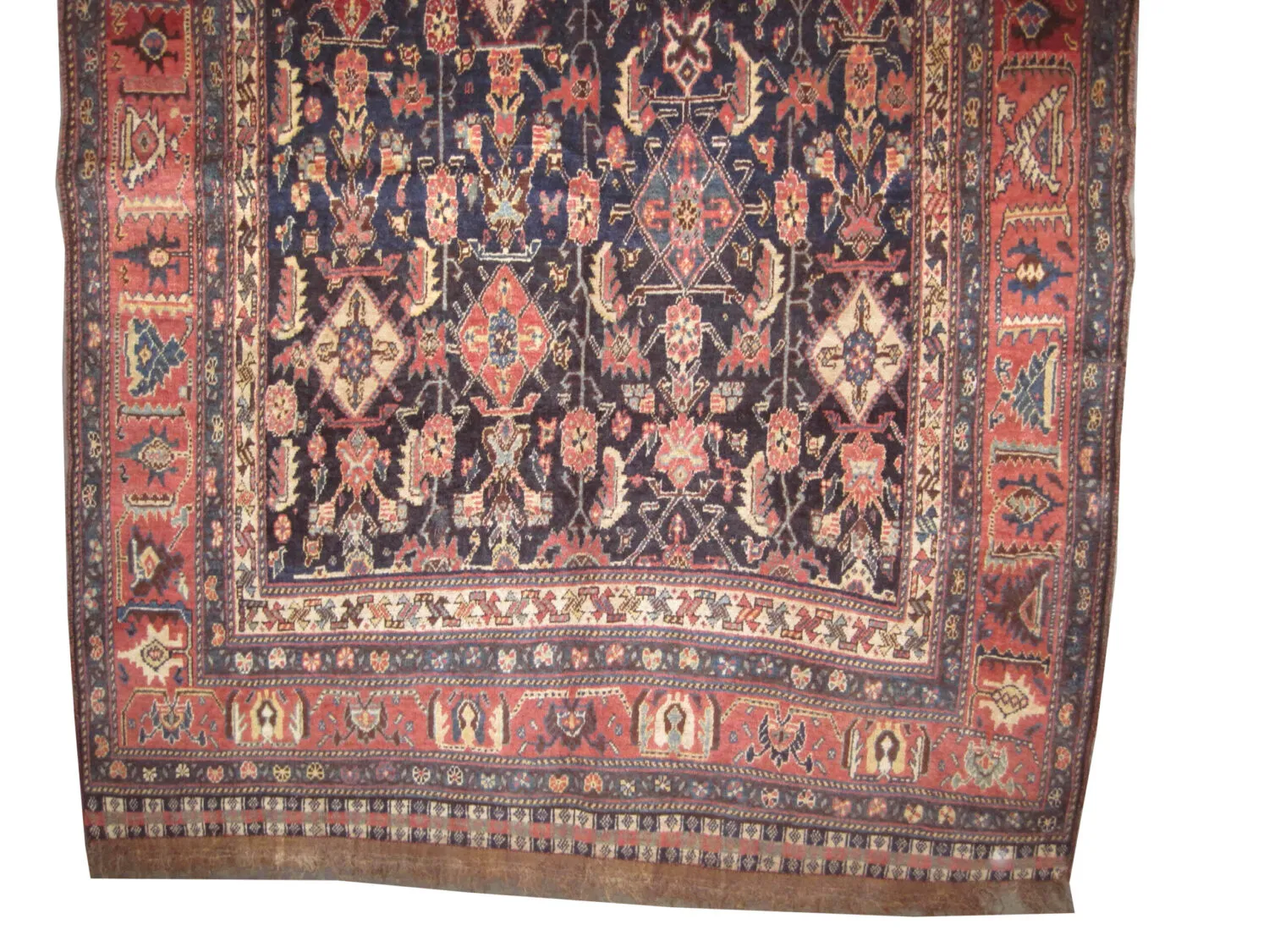 Qashqai Persian - Image 3