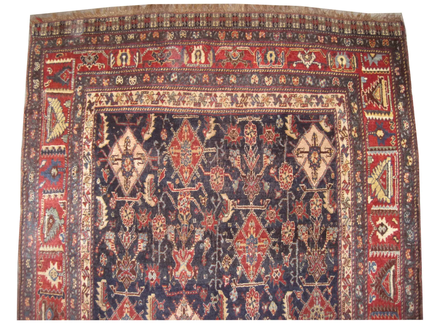 Qashqai Persian - Image 2