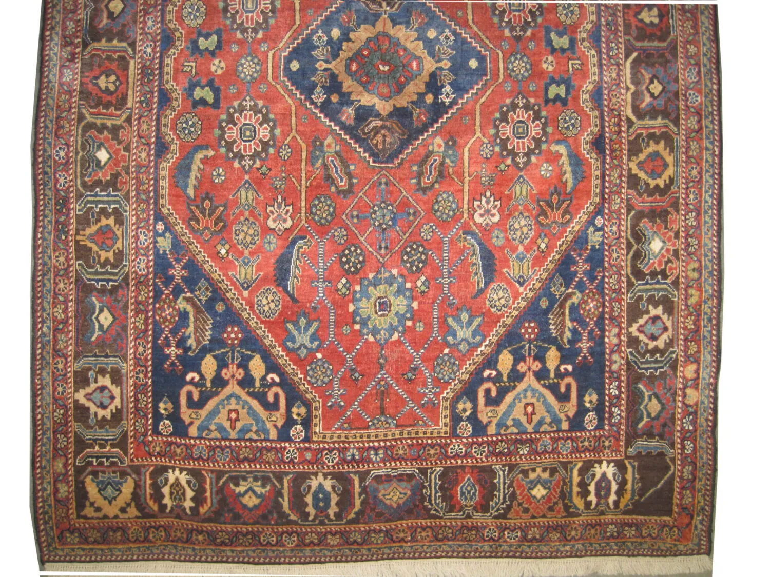 Qashqai Persian - Image 3