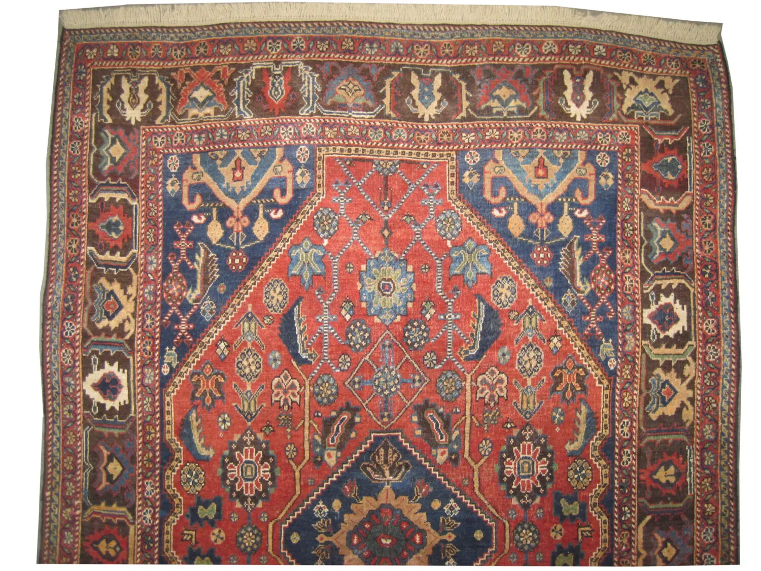 Qashqai Persian - Image 2
