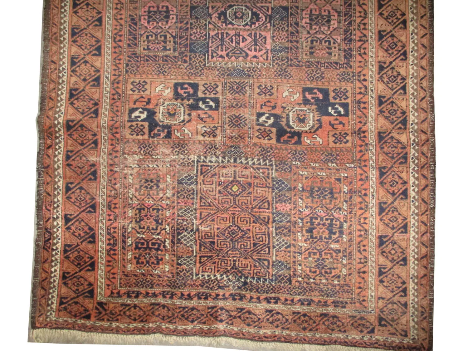 Belutsch Persian - Image 2