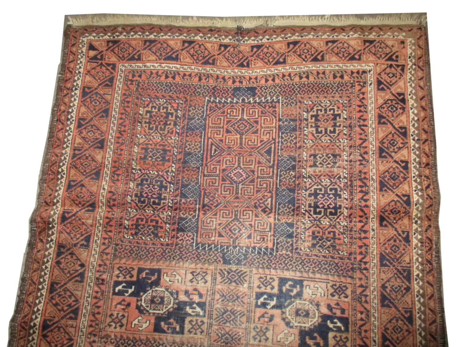 Belutsch Persian - Image 3
