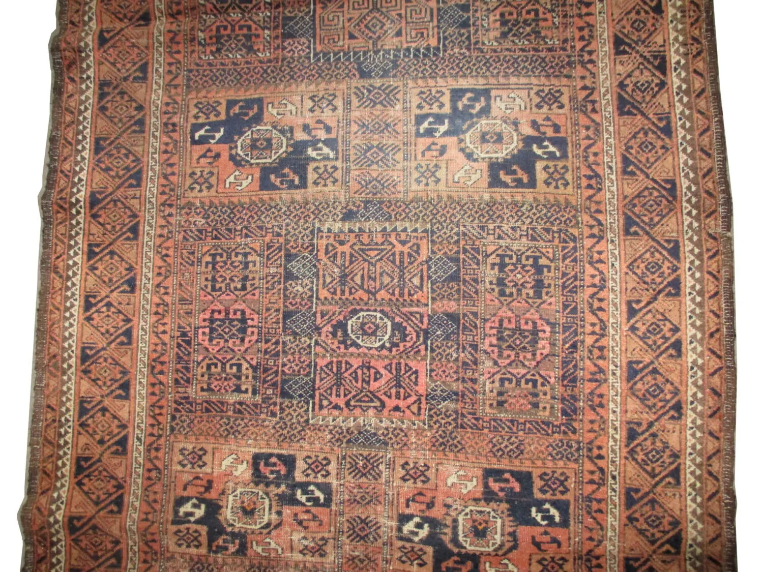 Belutsch Persian - Image 4