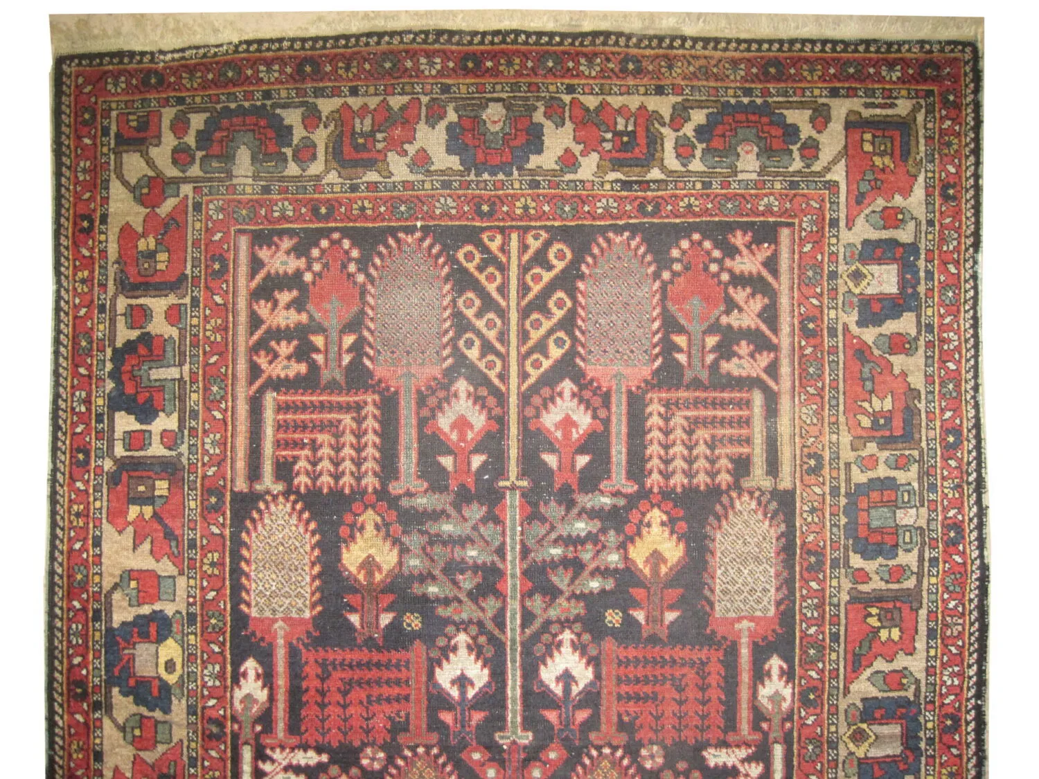 Bakhtiar Persian - Image 3