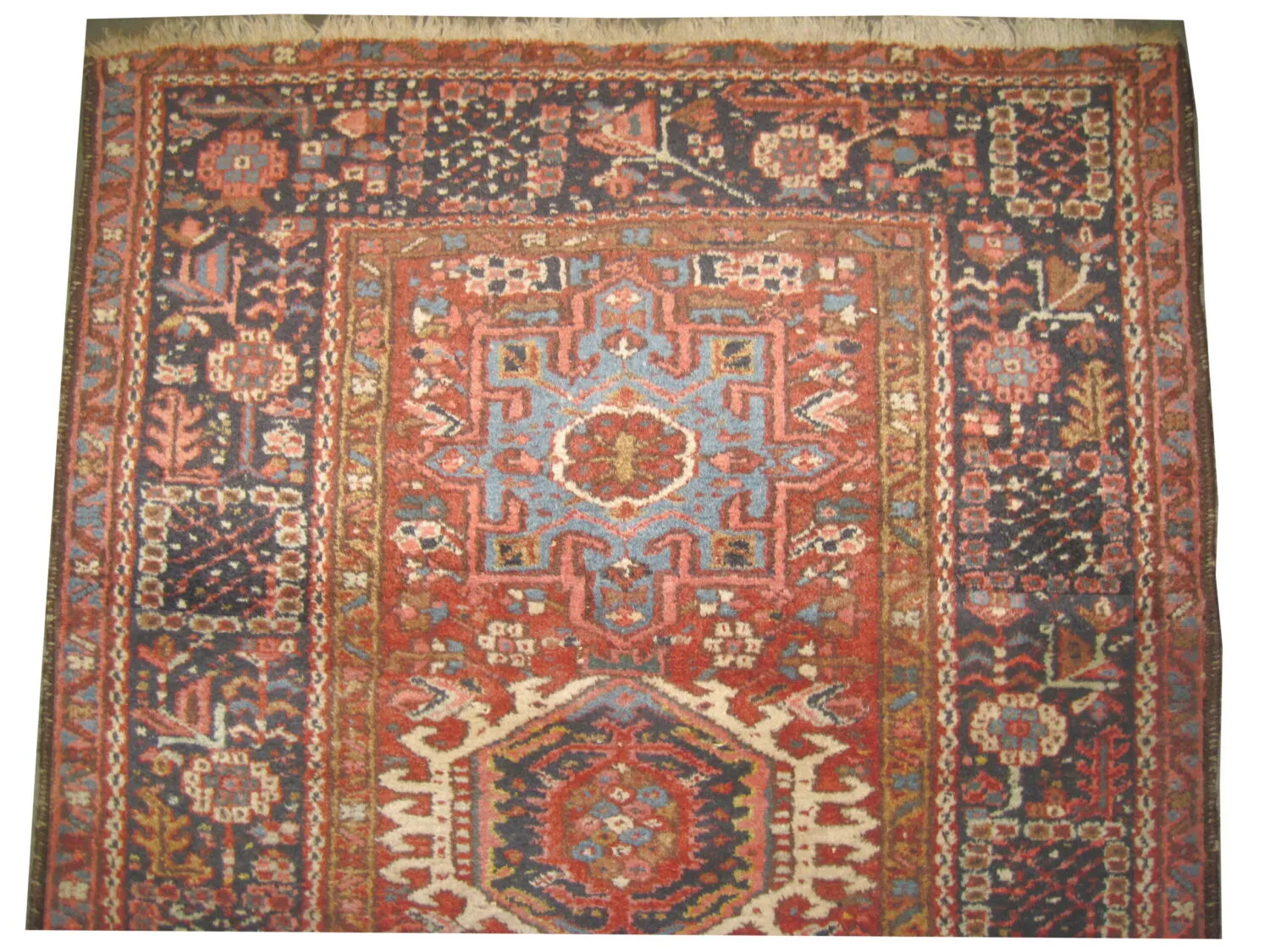 Karadja Persian - Image 2