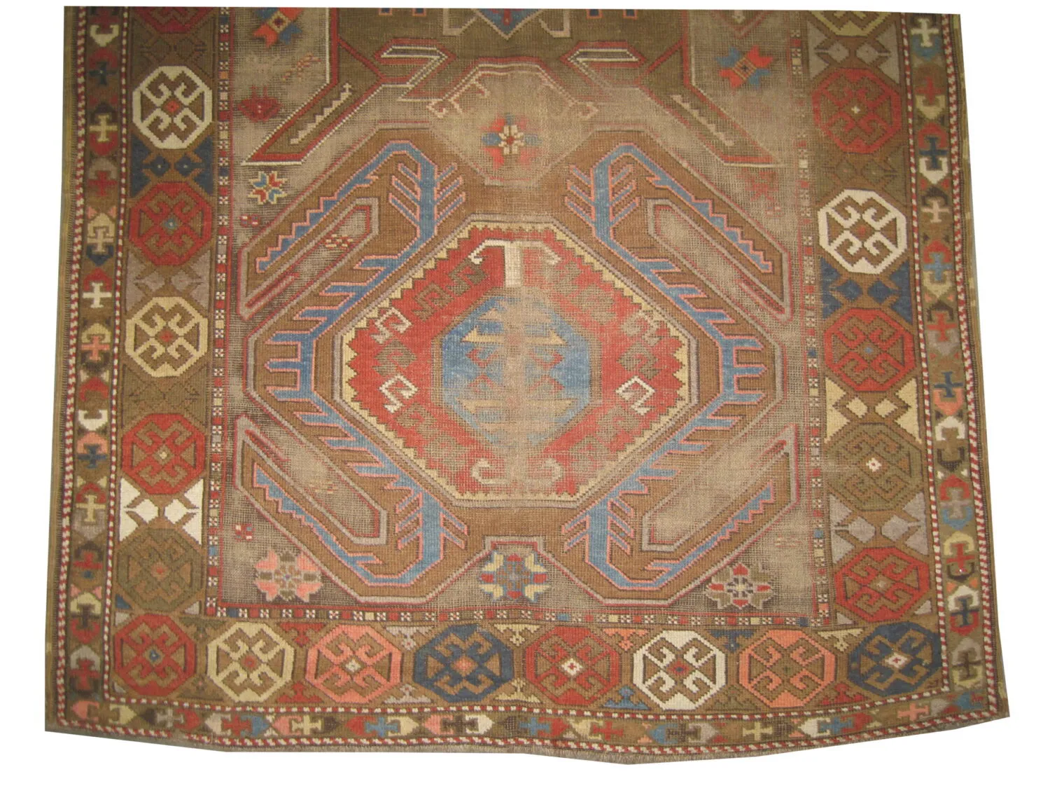 Lenkoran Caucasian - Image 2