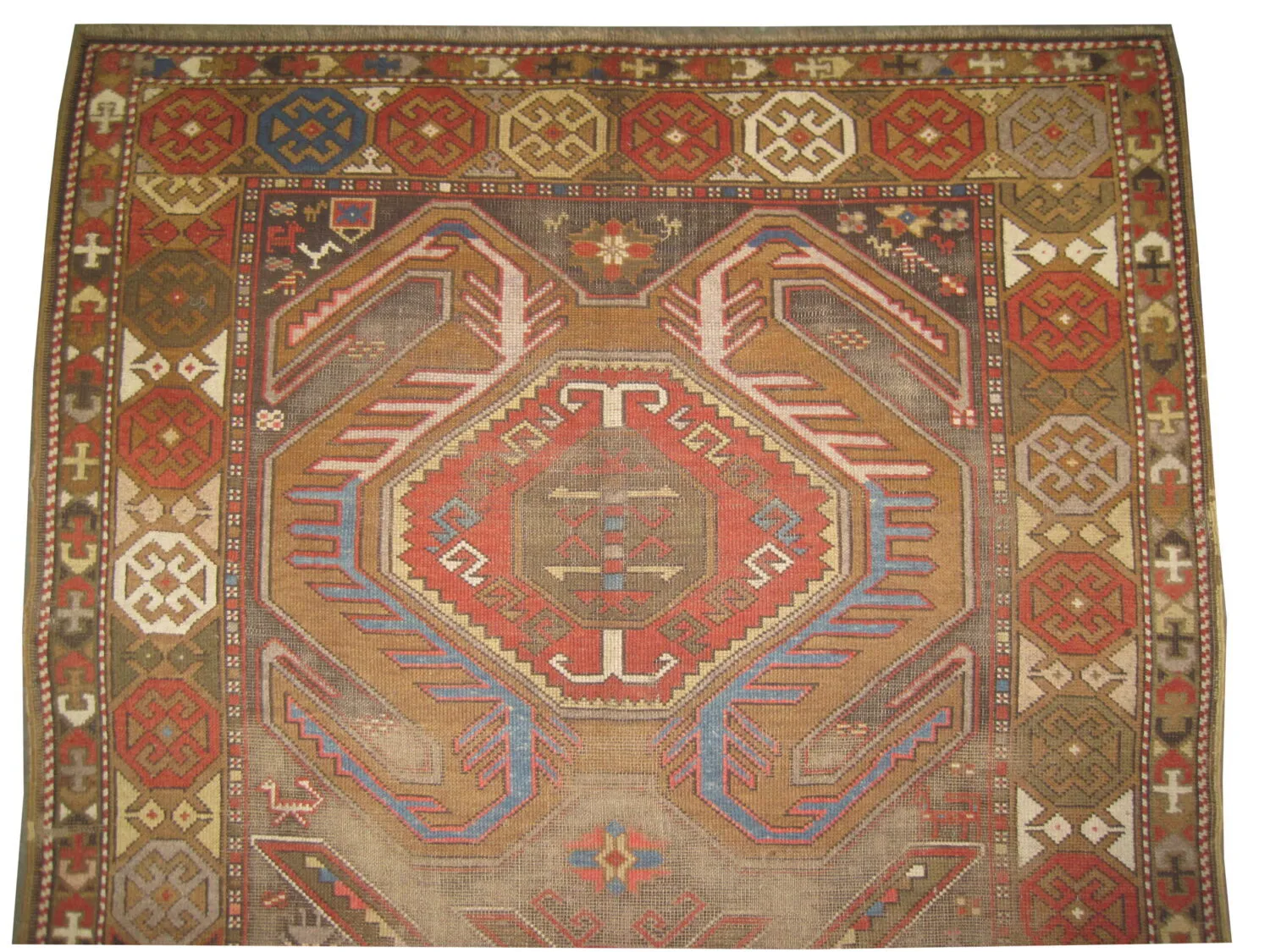 Lenkoran Caucasian - Image 3