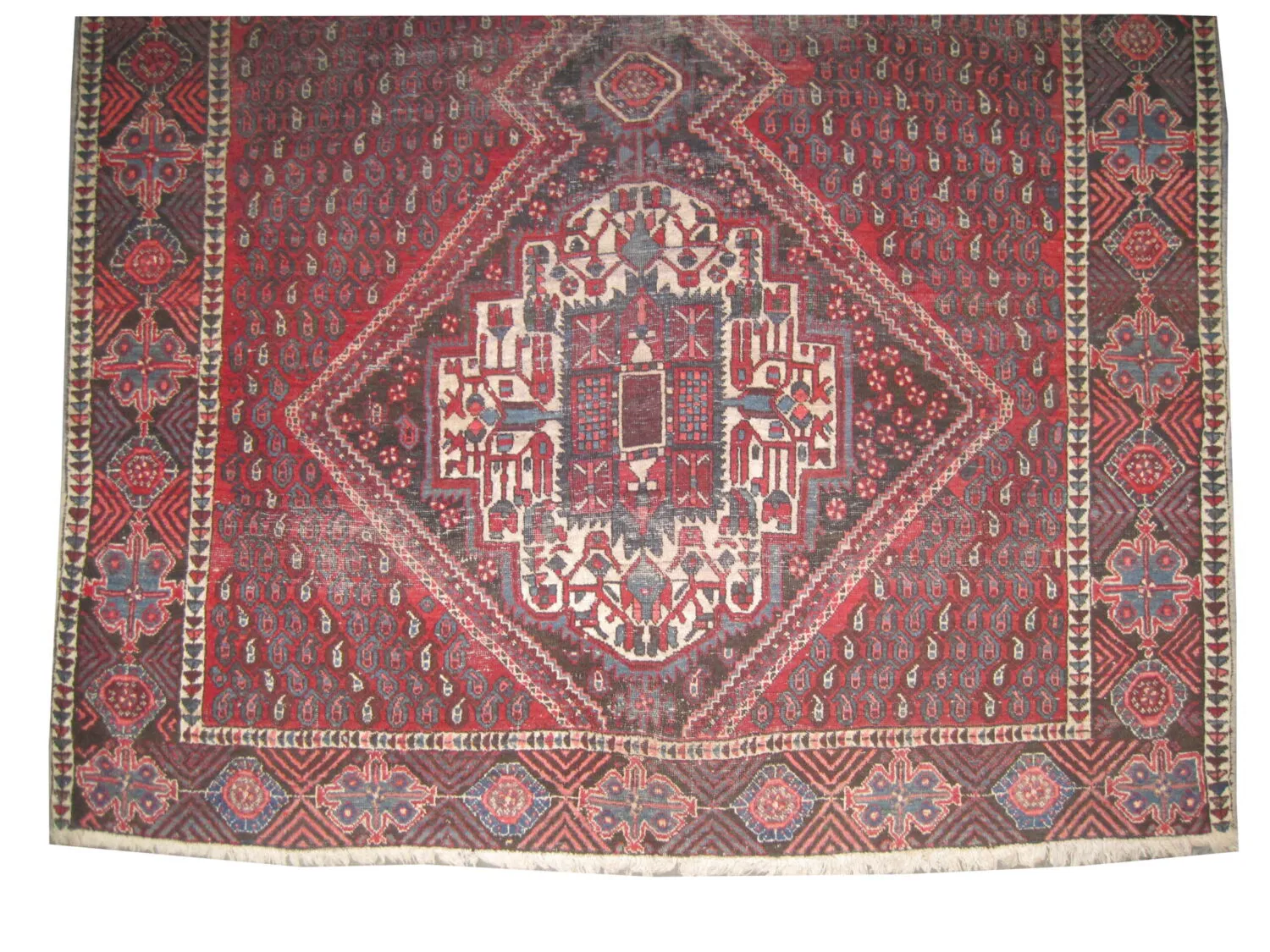 Afshar Persian - Image 2
