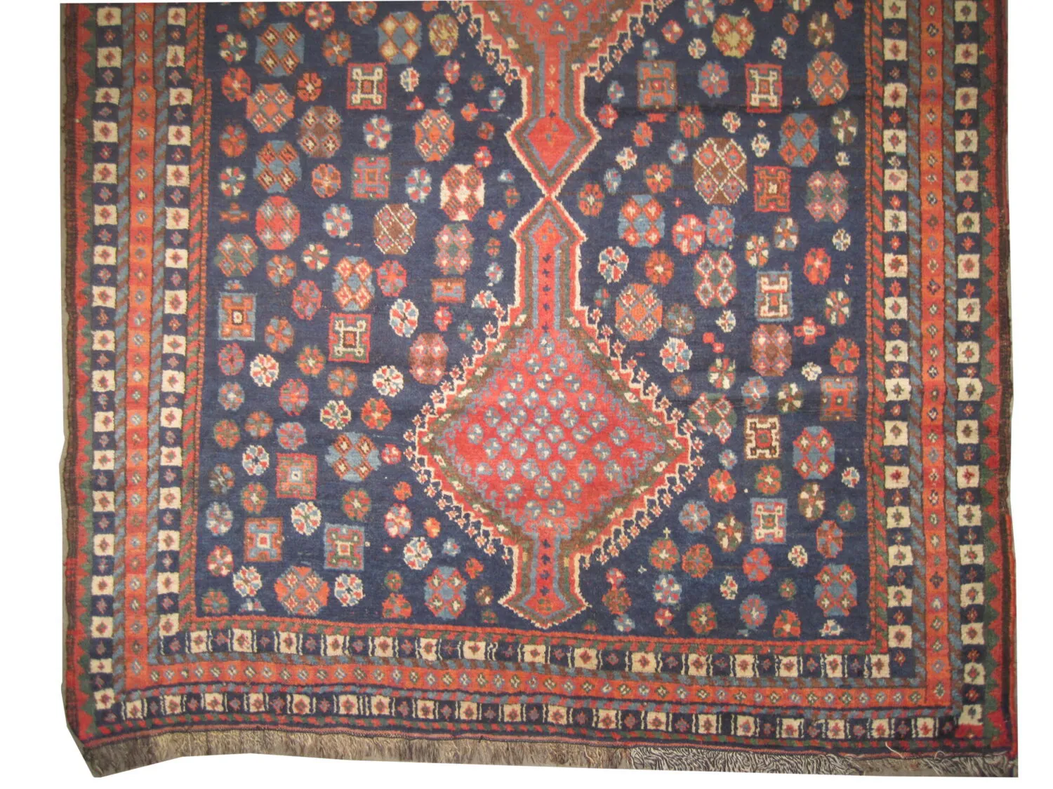 Shiraz Persian - Image 3