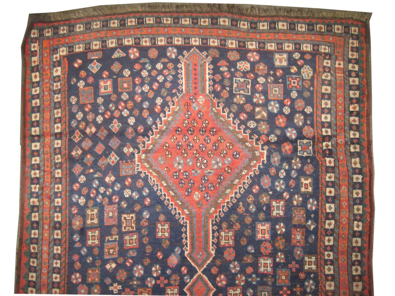 Shiraz Persian - Image 2