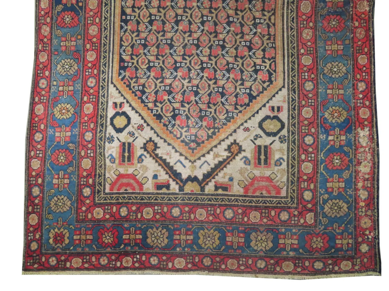 Malaier Persian - Image 2