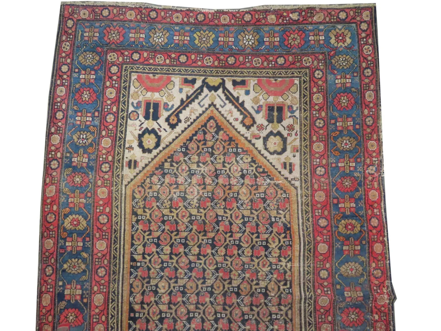 Malaier Persian - Image 3
