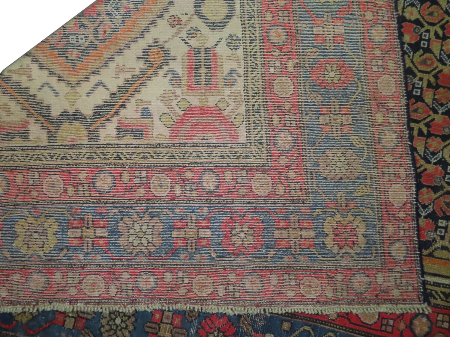 Malaier Persian - Image 4