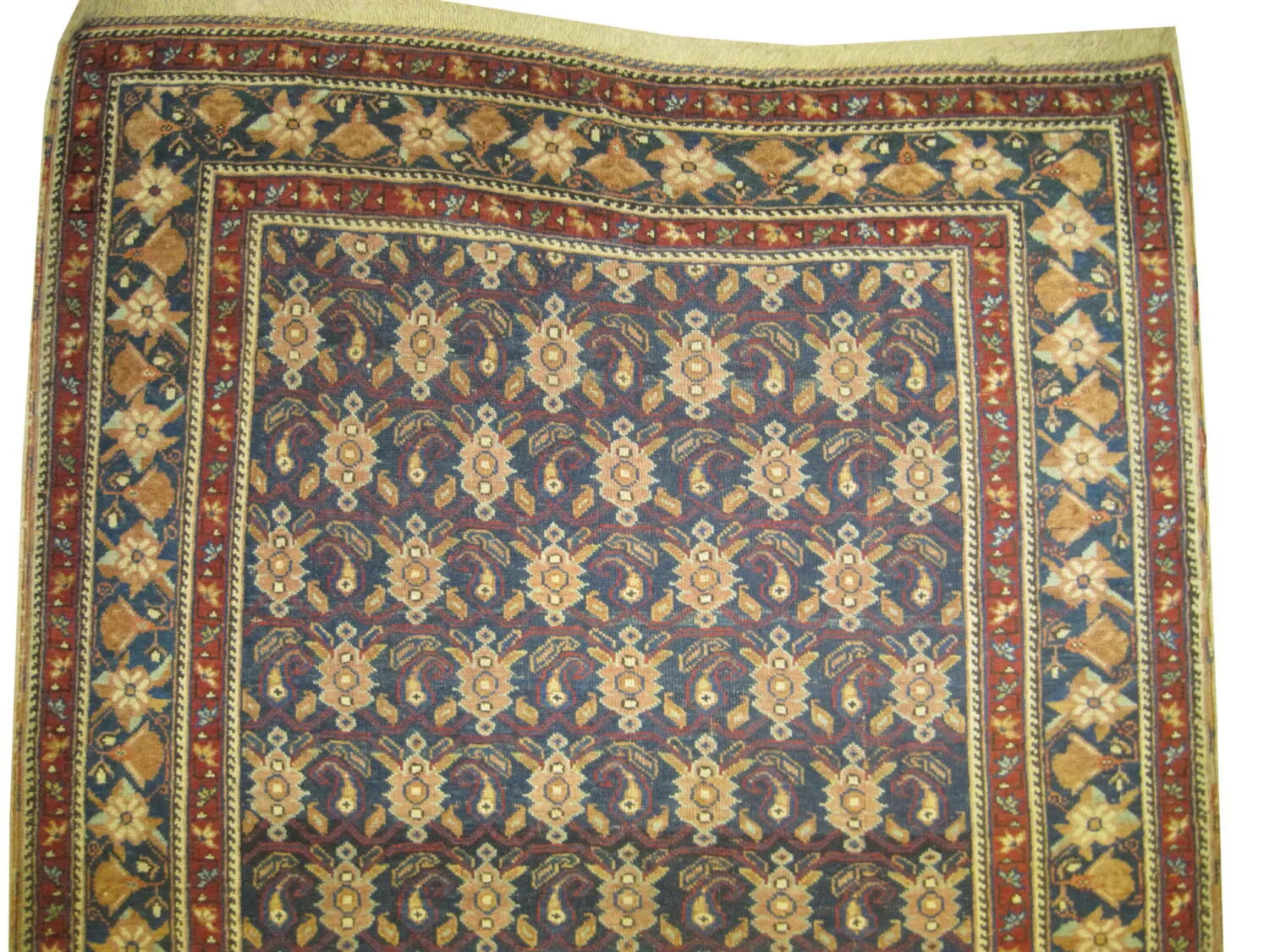 Afshar Persian - Image 2