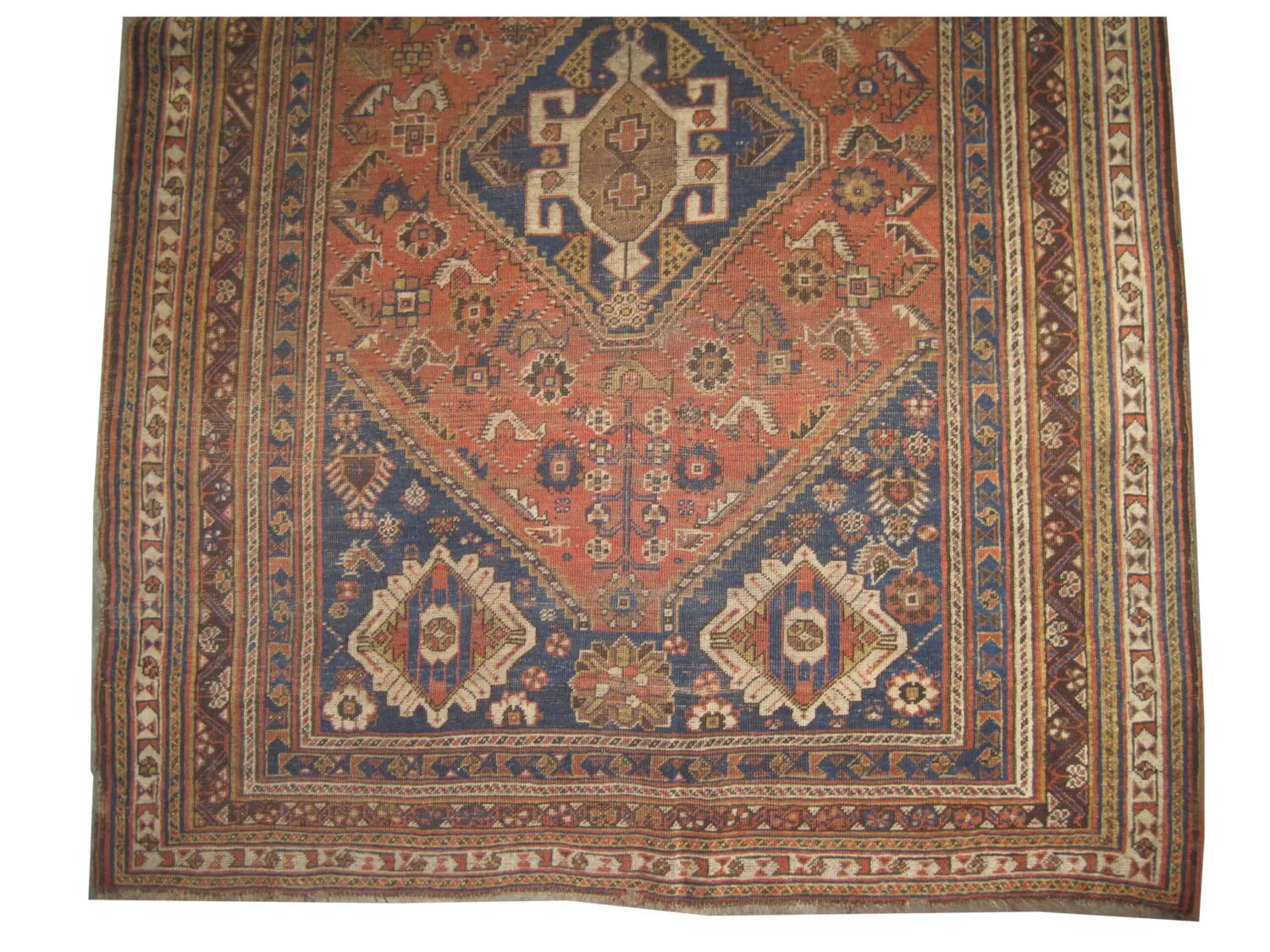 Qashqai Persian - Image 2