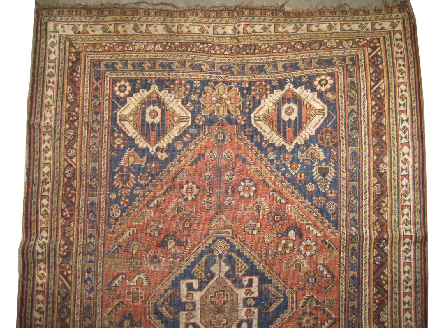 Qashqai Persian - Image 3