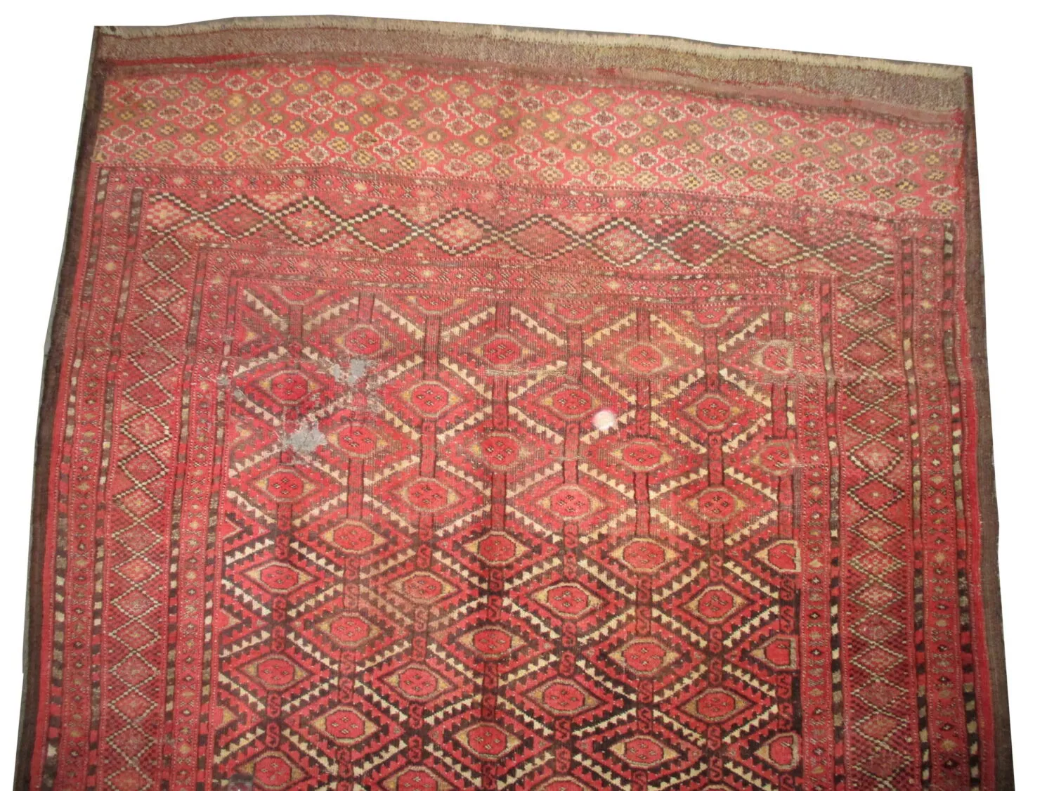 Beshir Turkmen - Image 3