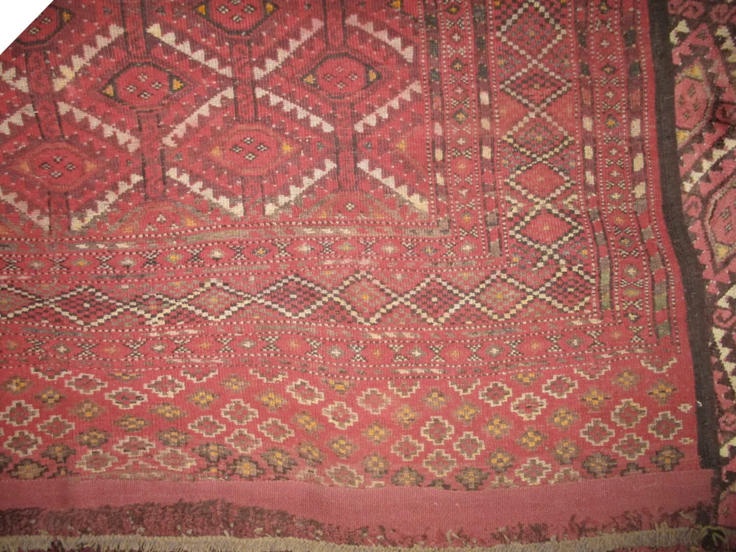 Beshir Turkmen - Image 4